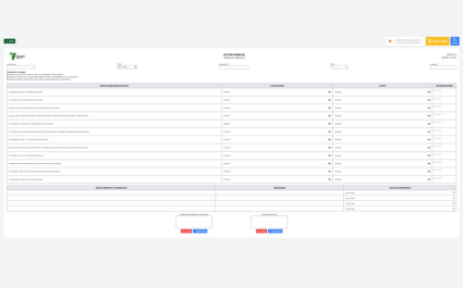 Inspección Gerencial